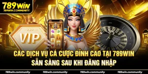 cac-dich-vu-ca-cuoc-dinh-cao-tai-789win-san-sang-sau-khi-dang-nhap