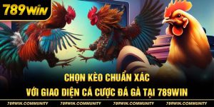 chon-keo-chuan-xac-voi-ui-cuoc-da-ga-789win