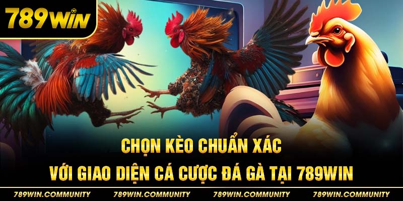 chon-keo-chuan-xac-voi-ui-cuoc-da-ga-789win