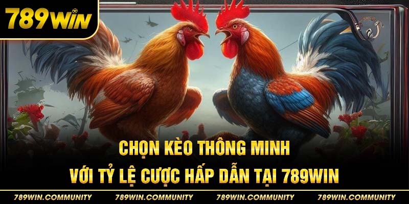 chon-keo-thong-minh-voi-ty-le-cuoc-hap-dan-tai-789win