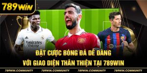 dat-cuoc-bong-da-de-dang-voi-giao-dien-than-thien-tai-789win