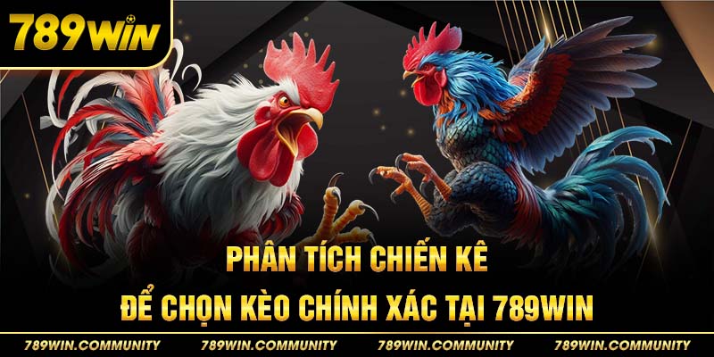 phan-tich-chien-ke-de-chon-keo-thang-tai-da-ga-789win