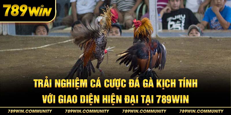 trai-nghiem-ca-cuoc-da-ga-kich-tinh-voi-ui-hien-dai-tai-789win