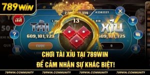 14-choi-tai-xiu-tai-789win-de-cam-nhan-su-khac-biet