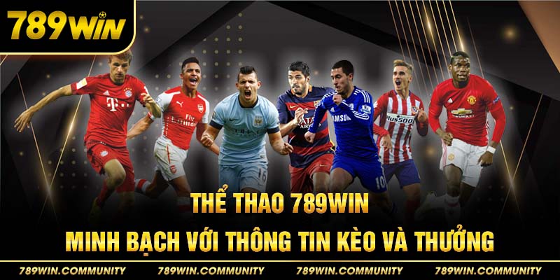 2-the-thao-789win,-minh-bach-voi-thong-tin-keo-va-thuong