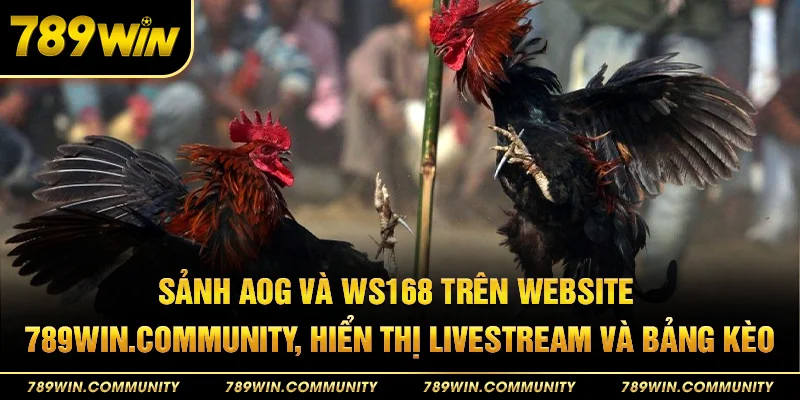 29-sanh-aog-va-ws168-tren-website-789win-community-hien-thi-livestream-va-bang-keo