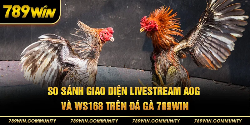 30-so-sanh-giao-dien-livestream-aog-va-ws168-tren-da-ga-789win