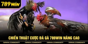 31-chien-thuat-cuoc-da-ga-789win-nang-cao