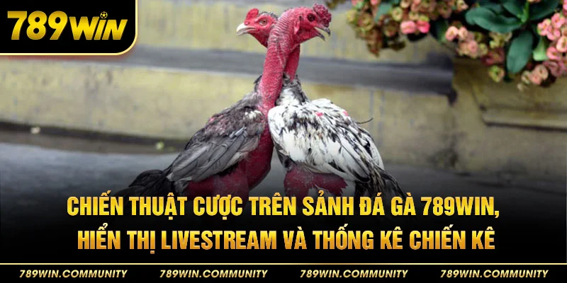 32-chien-thuat-cuoc-tren-sanh-da-ga-789win-hien-thi-livestream-va-thong-ke-chien-ke