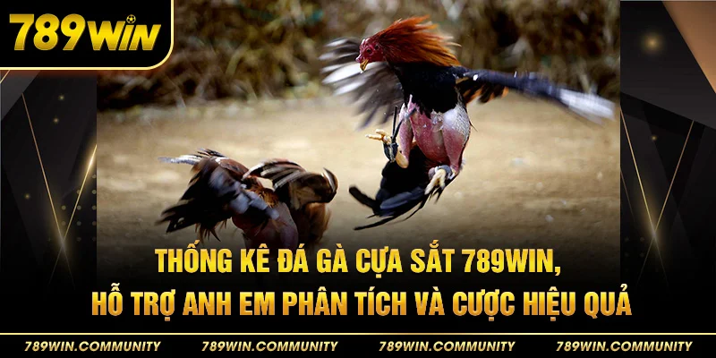 39-thong-ke-da-ga-cua-sat-789win-ho-tro-anh-em-phan-tich-va-cuoc-hieu-qua