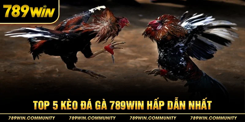 44-top-5-keo-da-ga-789win-hap-dan-nhat
