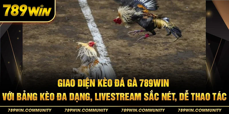 45-giao-dien-keo-da-ga-789win-voi-bang-keo-da-dang-livestream-sac-net-de-thao-tac