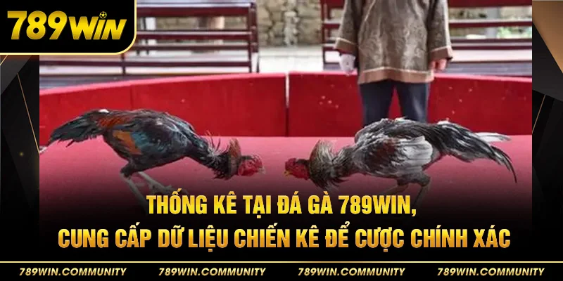 47-thong-ke-tai-da-ga-789win-cung-cap-du-lieu-chien-ke-de-cuoc-chinh-xac