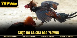 48-cuoc-da-ga-cua-dao-789win