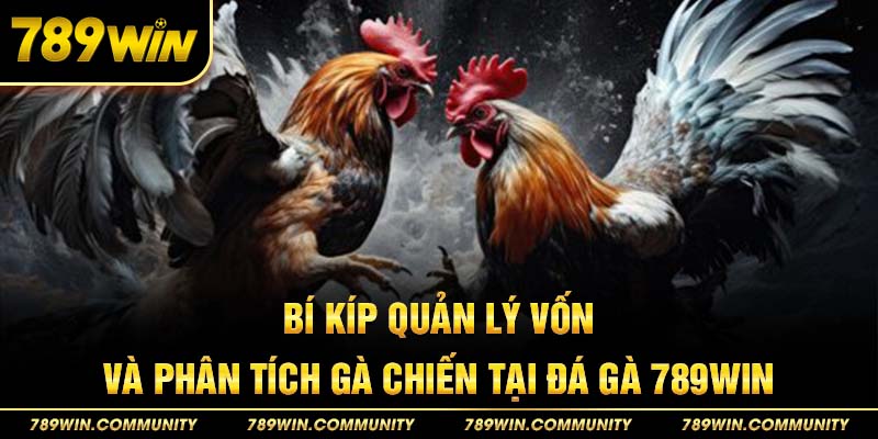 bi-kip-quan-ly-von-phan-tich-ga-chien-tai-da-ga-789win