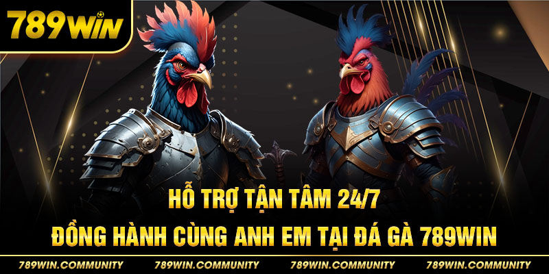 ho-tro-24-7-dong-hanh-cung-hoi-vien-da-ga-789win
