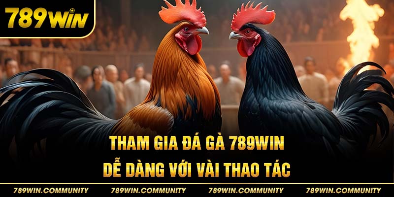 tham-gia-da-ga-789win-de-dang-chi-voi-vai-thao-tac